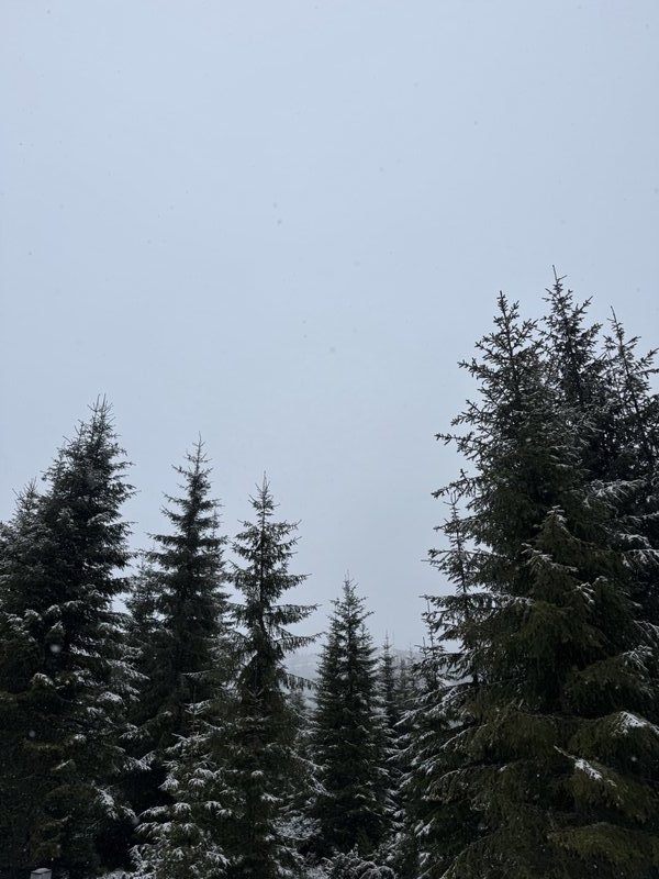 Nivalis Resort & SPA — refugiu montan în Buscat