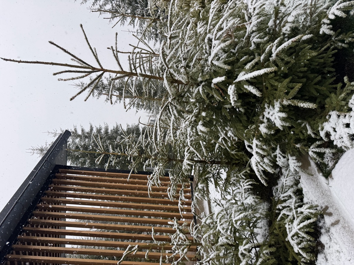 Chalet muntii Apuseni Romania