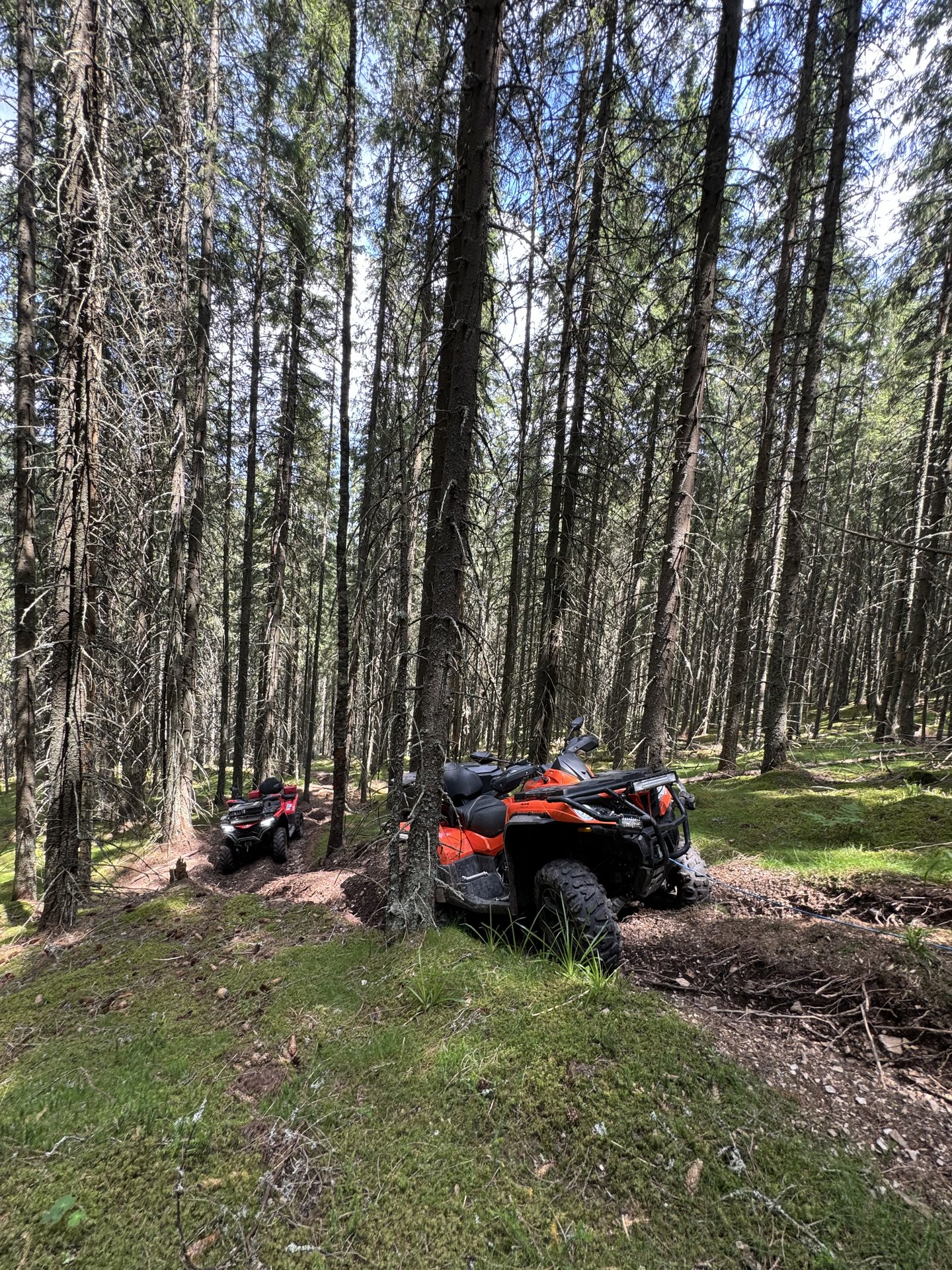 ATV rentals for mountain adventure at Nivalis Resort & SPA in Buscat