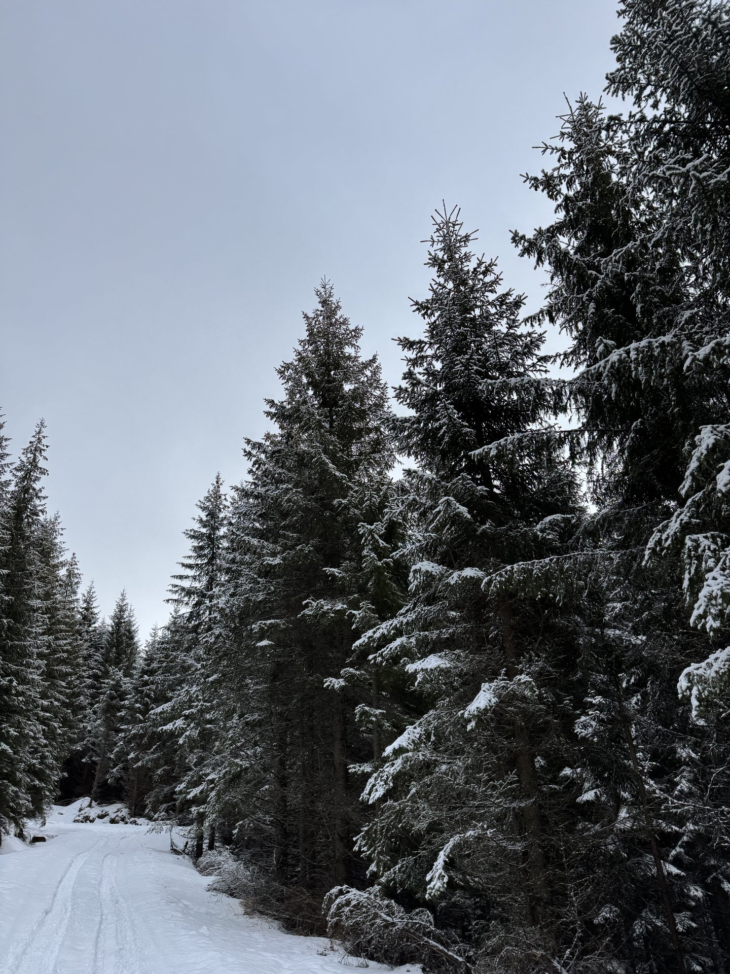 Romantic winter retreat for couples at Nivalis Resort & SPA