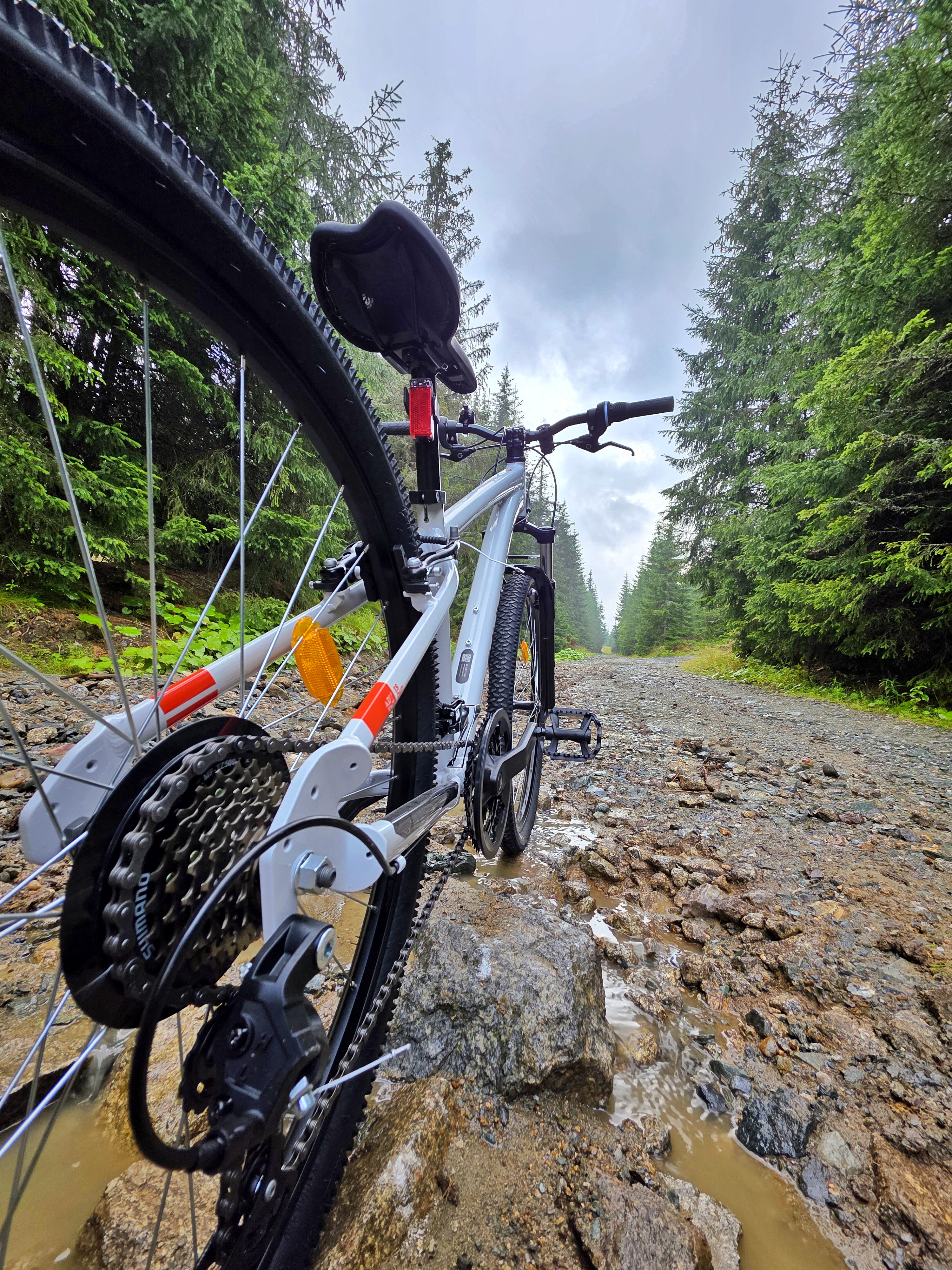 Bicicletă pe drum forestier lângă Nivalis Resort & SPA, Buscat