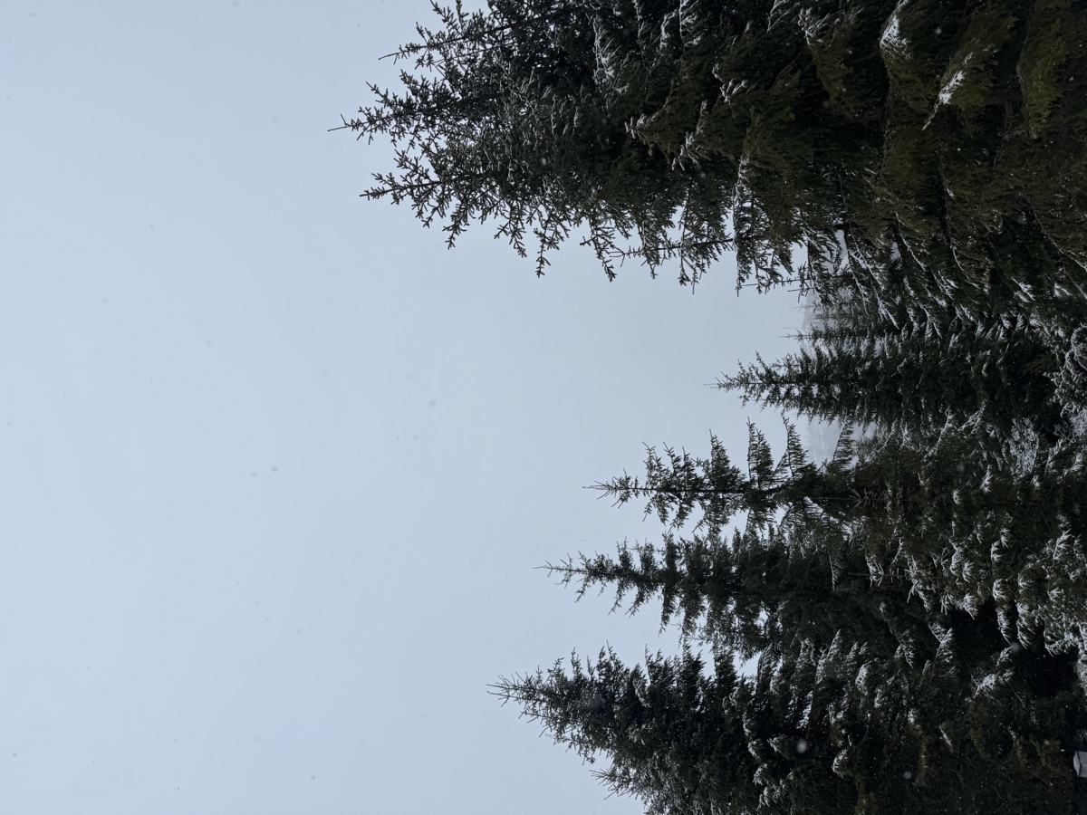 Resort si SPA Buscat Nivalis Romania