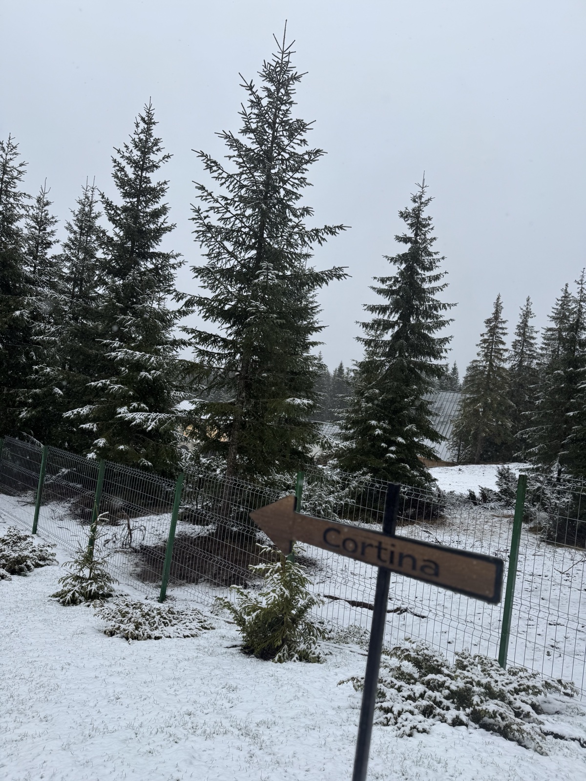 Nivalis Resort si SPA facilitati Buscat