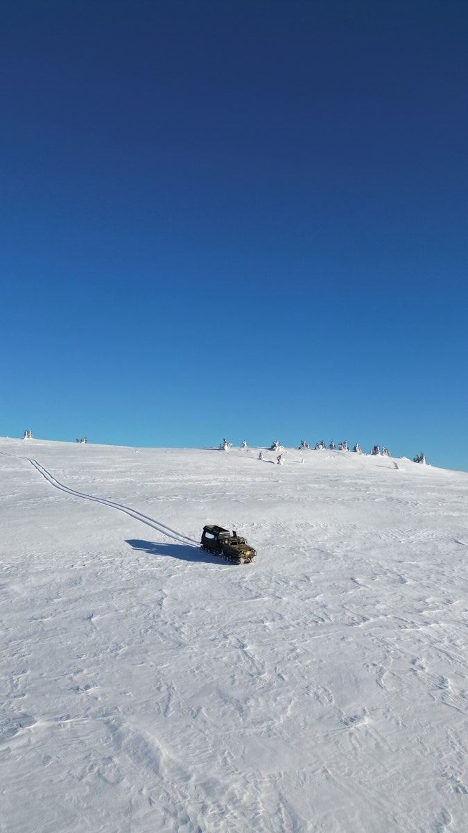 Activități freeride pe zăpadă cu cat-ski lângă Buscat