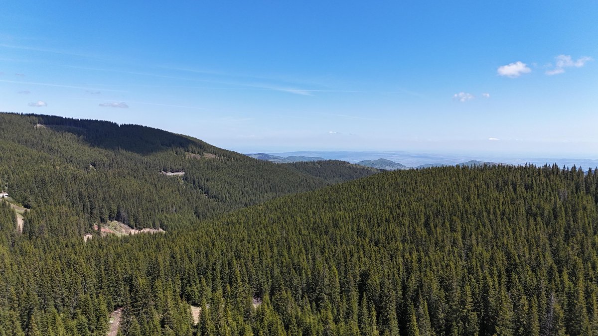 Drumeții montane de vară în zona Buscat, județul Cluj — Nivalis Resort & SPA